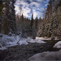 "Река в заснеженном лесу"© :: Владимир Макаров