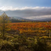 Осень в Алуште :: Сергей Титов