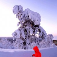 Лапландия. Снежный человек... :: ГЕНРИХ 