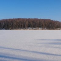 Озеро Кощино (репортаж из поездок по области). :: Милешкин Владимир Алексеевич 