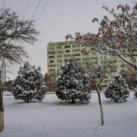 зима в городе :: Анатолий Чикчирный