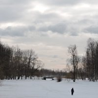 Первый мартовский день. :: Мария Васильева