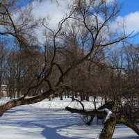 Весенние зарисовки в старом парке.. :: Татьян@ Ивановна