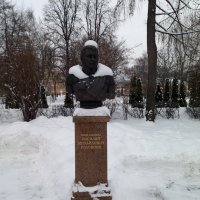 В зимнем парке :: Galina Solovova