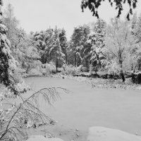 Зима :: Наталья Катульская