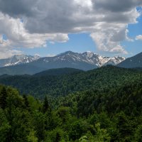 Гузерипль. Адыгея. :: Дина Евсеева