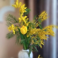 Тюльпаны и мимоза для праздника весны :: tatyana 
