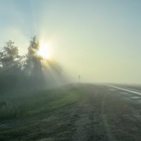Туман застал в дороге :: Василий Колобзаров