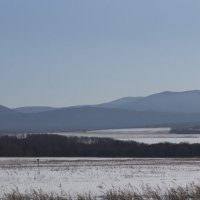 Зимние просторы :: Татьяна Маркова