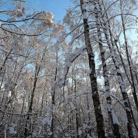 легкость снега и свежесть воздуха :: Олег Лукьянов