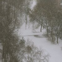 Опять снег... :: Юрий Куликов