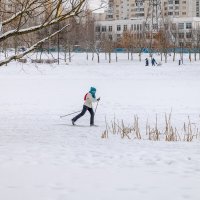 На замерзшем пруду :: Валерий Иванович