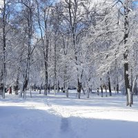 Зима вернулась! :: Елена Кирьянова