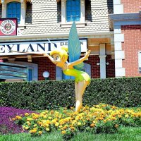 В Disneyland встречает фея "Динь-Динь" :: Владимир Никольский (vla 8137)