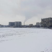 Нева зимой :: Наталья Герасимова