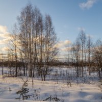Последние деньки зимы :: Сергей Цветков