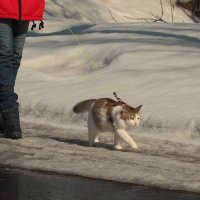 "Сама по себе" Почти... :: Владилен Панченко