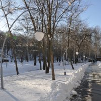 Весенний снег (март 2022 г.) :: Татьяна 