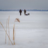 На берегу Финского залива :: Магомед .