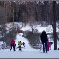 Зима в Павловске... :: vadim 