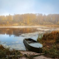 Осеннее... :: Анатолий 71 Зверев