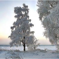 На берегу у реки. :: Валентин Кузьмин