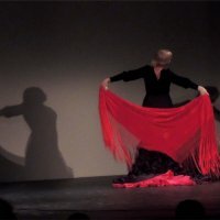 танцующая фламенко :: sv.kaschuk 