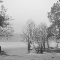 Туманным утром :: Андрей Снегерёв