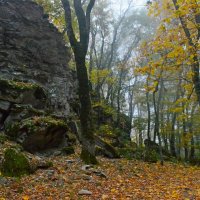 Кавказская осень :: Юрий Цыплятников