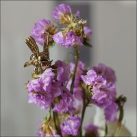 Золотая пчела :: Сеня Белгородский