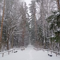 Снежный Павловск . :: Татьяна 