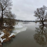 Река Серая :: Денис Бочкарёв