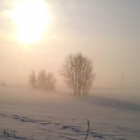 Туманное утро марта. :: сергей 