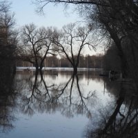 На Андреевском лугу одна вода 31 марта :: Евгений 