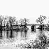 Мост на бреговой линии :: Юрий Стародубцев
