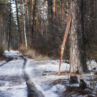 Сезон закрыт :: Валерий VRN