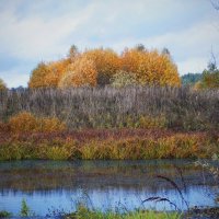 Осень :: Светлана Мишенёва