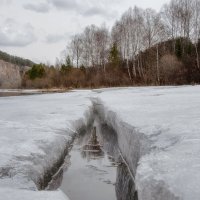 Весенние проталины :: Марина Фомина.