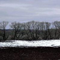 Залежался... :: Владимир Шошин