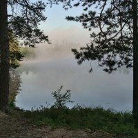 Озеро Забытое :: Владимир Кузнецов