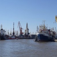 Морской порт, Калининград :: Маргарита Батырева