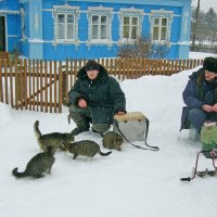 Рыбаки не жадные, но улов маловат... :: Сергей Вилков
