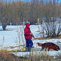 Апрель....С собакой у реки Юганская Обь. :: Владимир 