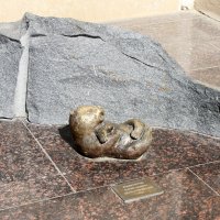 Мини скульптура новорождённого медведя. :: Евгений Шафер