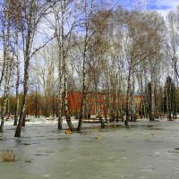 Водное поло подо льдом .., пока . :: Мила Бовкун