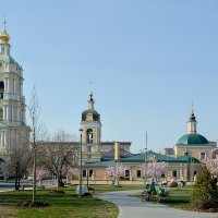 Колокольня Новоспасского монастыря и храм Сорока мучеников :: Oleg4618 Шутченко