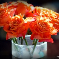 цветы для любимых :: Олег Лукьянов