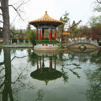 Китайский сад Цюрих Швейцария :: wea *