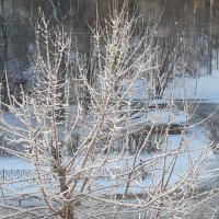 Свежий снег в апреле :: Галина Минчук