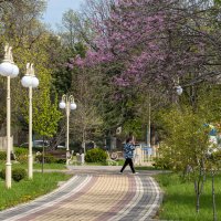 Городской парк :: Игорь Сикорский